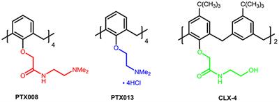 Structural Design, Synthesis, and Preliminary Biological Evaluation of Novel Dihomooxacalix[4]arene-Based Anti-tumor Agents